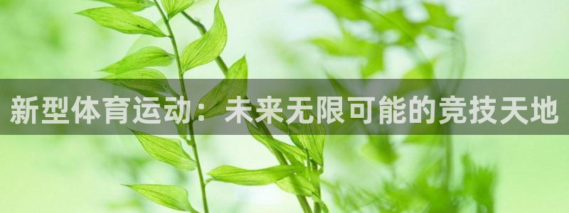 新型体育运动：未来无限可能的竞技天地