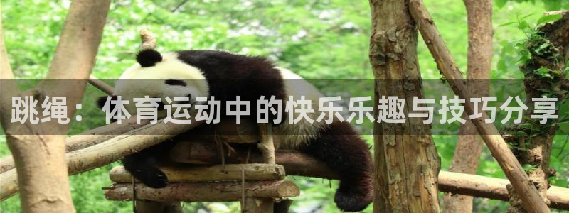 跳绳：体育运动中的快乐乐趣与技巧分享
