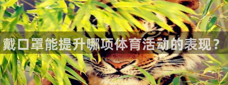 戴口罩能提升哪项体育活动的表现？