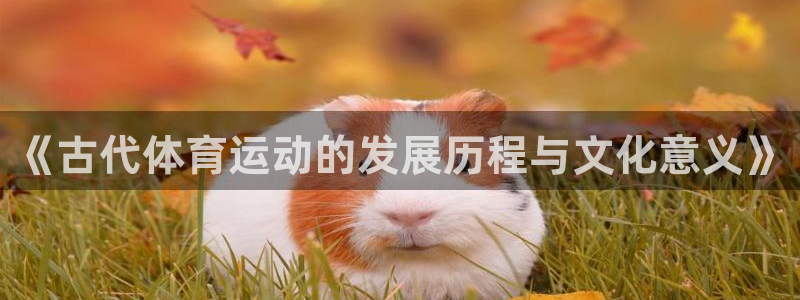 《古代体育运动的发展历程与文化意义》